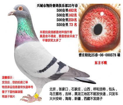 25�괺4��500����ɼ��루�������ܣ�