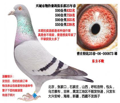 25�괺4��500����ɼ��루�������ܣ�