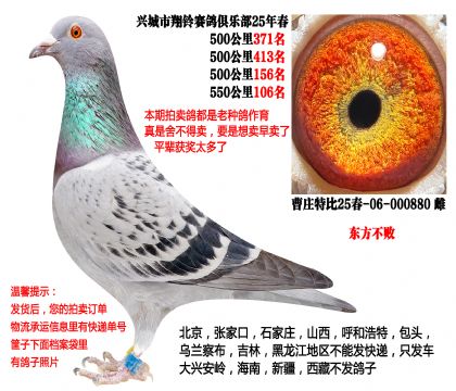 25�괺4��500����ɼ��루�������ܣ�