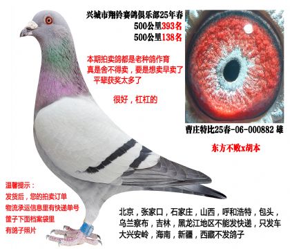 25�괺500����ɼ��루��������x������