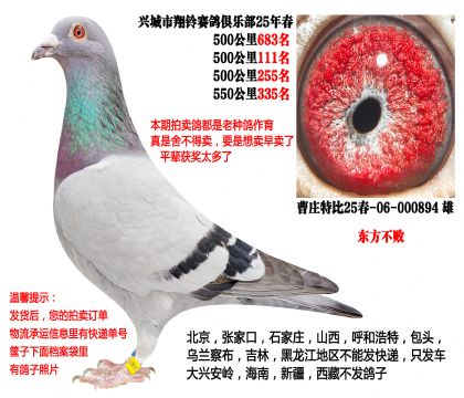 25�괺�Ĺ�500����ɼ��루�������ܣ�