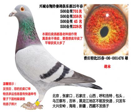 25�괺4��500����ɼ��루������