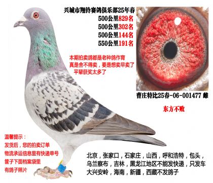 25�괺4��500����ɼ��루�������ܣ�