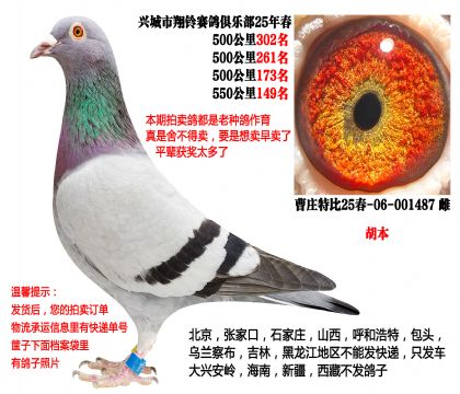 25�괺4��500����ɼ��루������