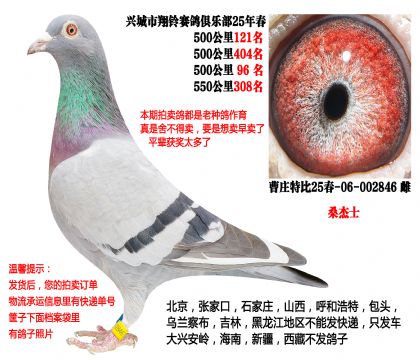 25�괺4��500����ɼ��루ɣ��ʿ��