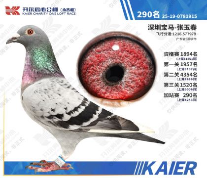 26�꿪��С�����վ��290�� ��