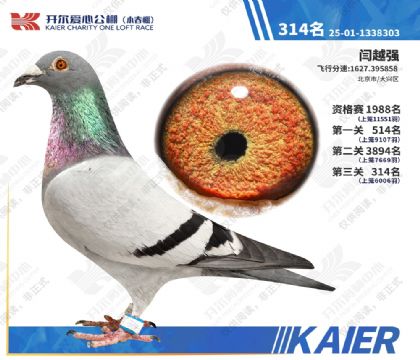 26�꿪��С�������314�� ��