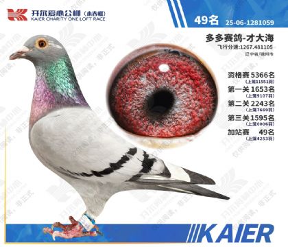 26�꿪��С�����վ��49�� ��