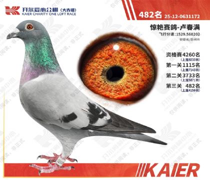 26�꿪���������482�� ��