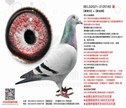 4����-BELG2021-2125182