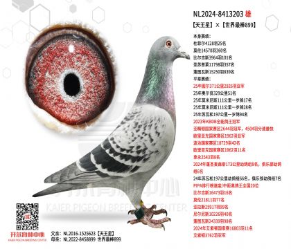 4����24-8413203