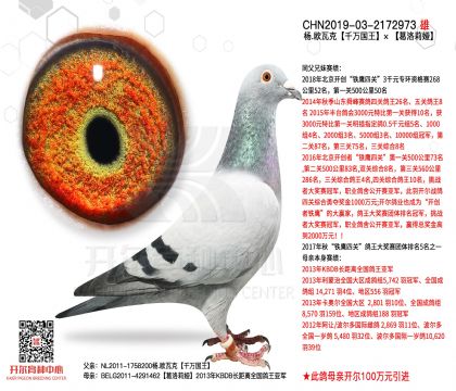 4����-2172973