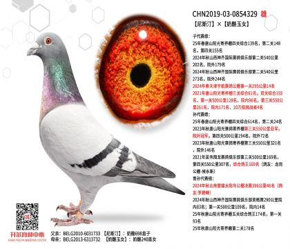 4����19-0854329
