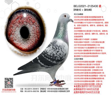 5ĸ��2125430