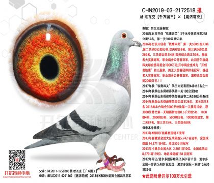 5���游-2172518