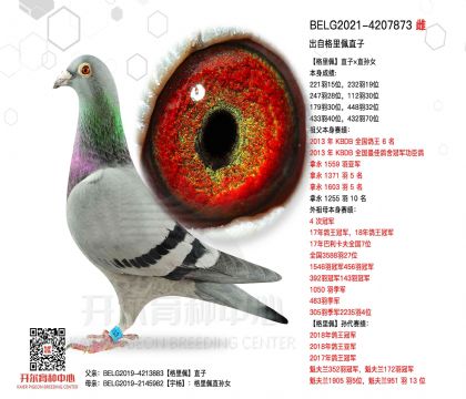5ĸ��BELG2021-4207873ͼ