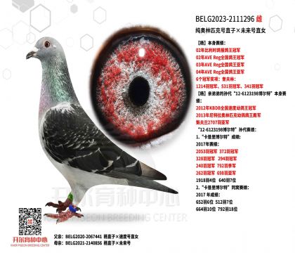 5ĸ��BELG2023-2111296ͼ