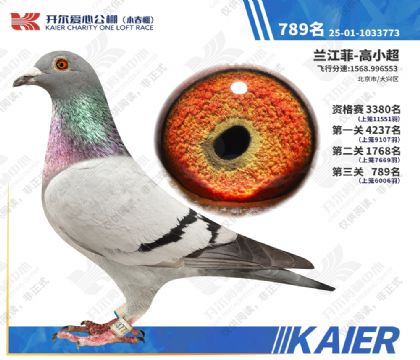 26�꿪��С�������789�� ��