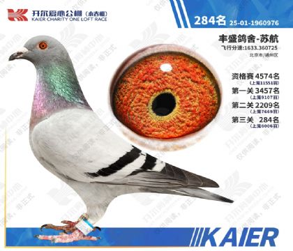 26�꿪��С�������284�� ��