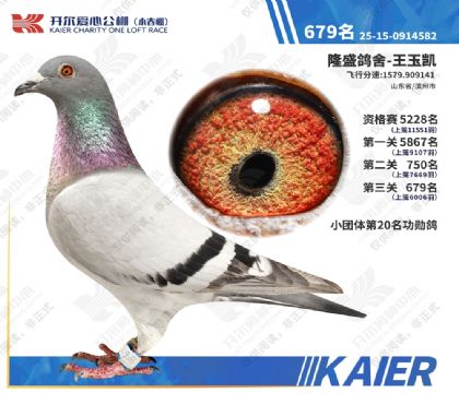 26�꿪��С�������679�� ��