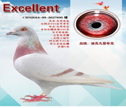 �Ͽˣ����ǲ���