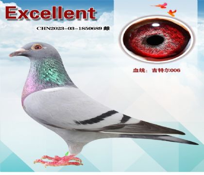 ���ض�006