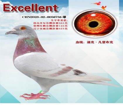 �Ͽˣ����ǲ���