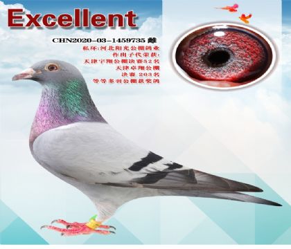 �ӱ����⹫��˽���ָ�