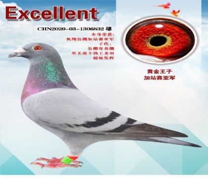 �ƽ����ӣ���վ���Ǿ�