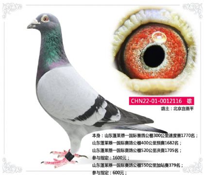 ����ƽ--��һɽ�����빫���վ��379��    ��	