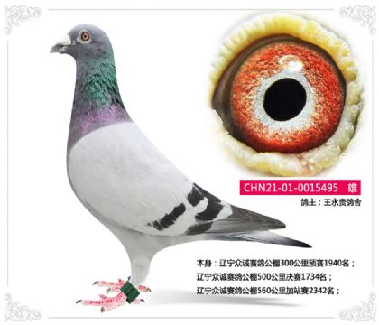 ������--�����ڳ����빫��500�������1734��  ��	