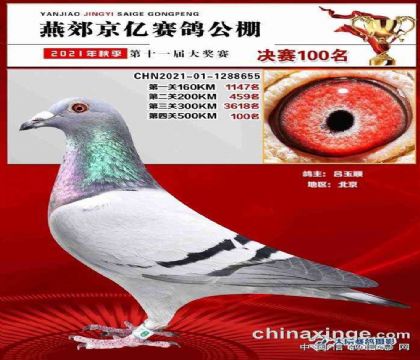 �ོ�������빫��500�������100��   ��	