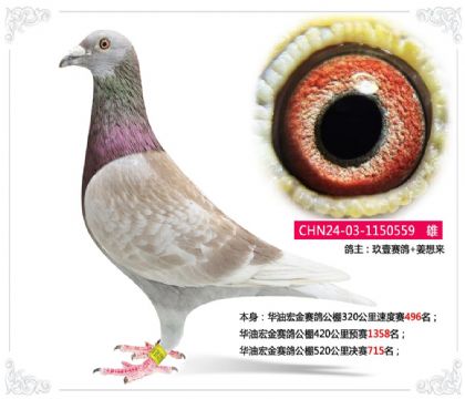 ���ͺ�����빫��520�������715��  ��	