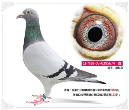 �żҿ��������빫��500�������153��  ��	