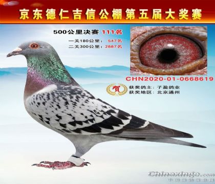 �������ʼ������빫��500�������111��   ��	