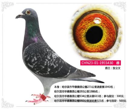 �������л������빫��534�������611��  ��	