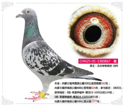 ����������---���ɹŸ������빫�����1777��  ��
