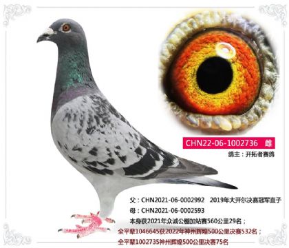 ����������----�󿪶������ھ�ֱ��Ů736   ��	