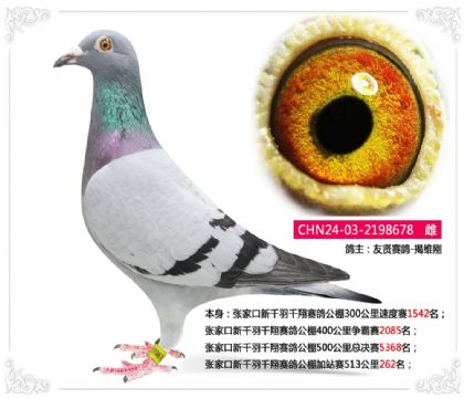 �żҿ���ǧ��ǧ�����빫���վ��513����262��   ��	