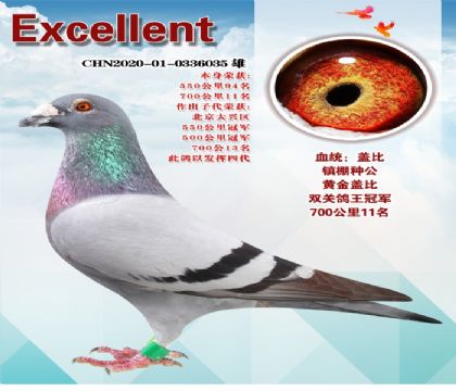 �����ھ��������ֹ�