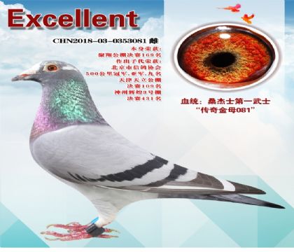 �����ĸ081ɣ��ʿ��һ��ʿ