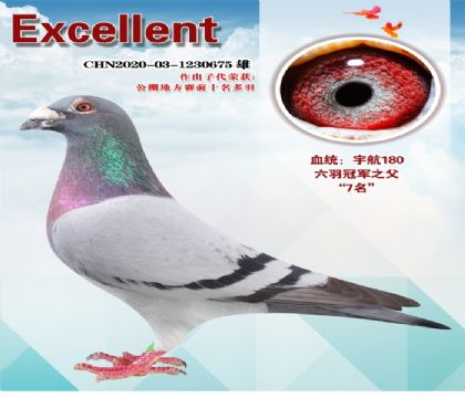 7��������ھ�֮��