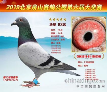 ������ɽ���빫�����ظ����Ǿ�   ��	