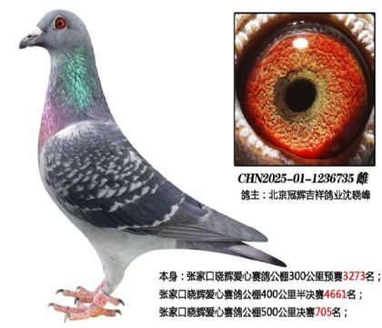 �����ڻԼ����ҵ--�żҿ����Թ������705��  ��	