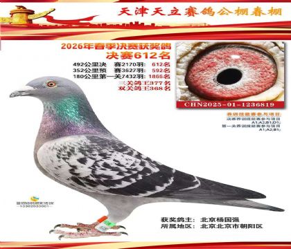 ����������빫��(����)492�������612��  ��	
