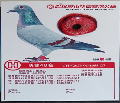 �������л������빫��534�������48��   ��	