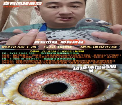 ����õĸ������ϵ�������׻�Ѫ