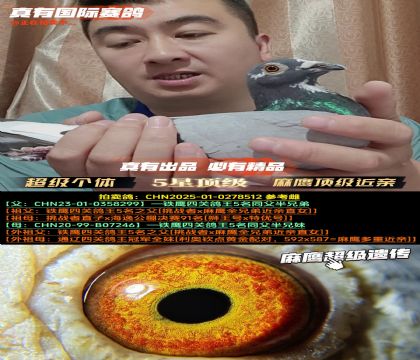 ����ӥ����������ס�����5������ֱ��xֱŮ