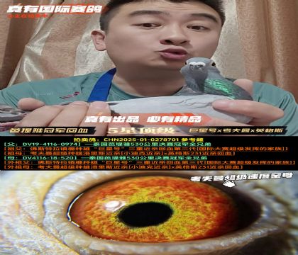 �������ž����ھ�ȫ�ֵ�xȫ���á����Ǻ�x������xӢ��˹