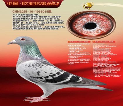 ����ƥ��03ֱ��801 �� ������ĸ��ӥ804